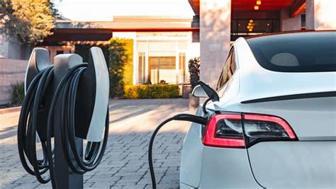 Can You Charge Your Electric Car in the Rain? And Why Do Birds Suddenly Appear Every Time You Plug In?