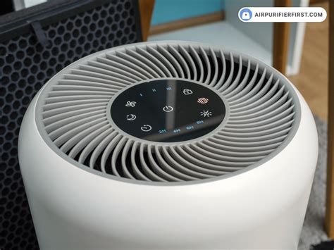 How to Reset Red Light on Levoit Air Purifier: A Comprehensive Guide and the Mysteries of Air Quality