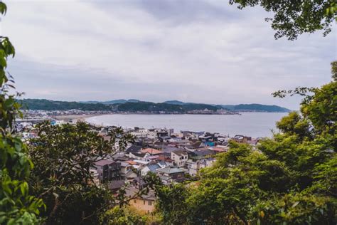 神奈川 一人暮らし おすすめ ～海と山の調和が生む孤独の美学～